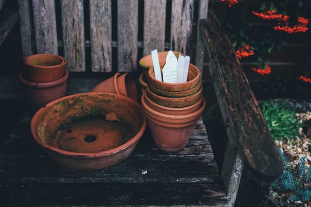 city gardening supplies