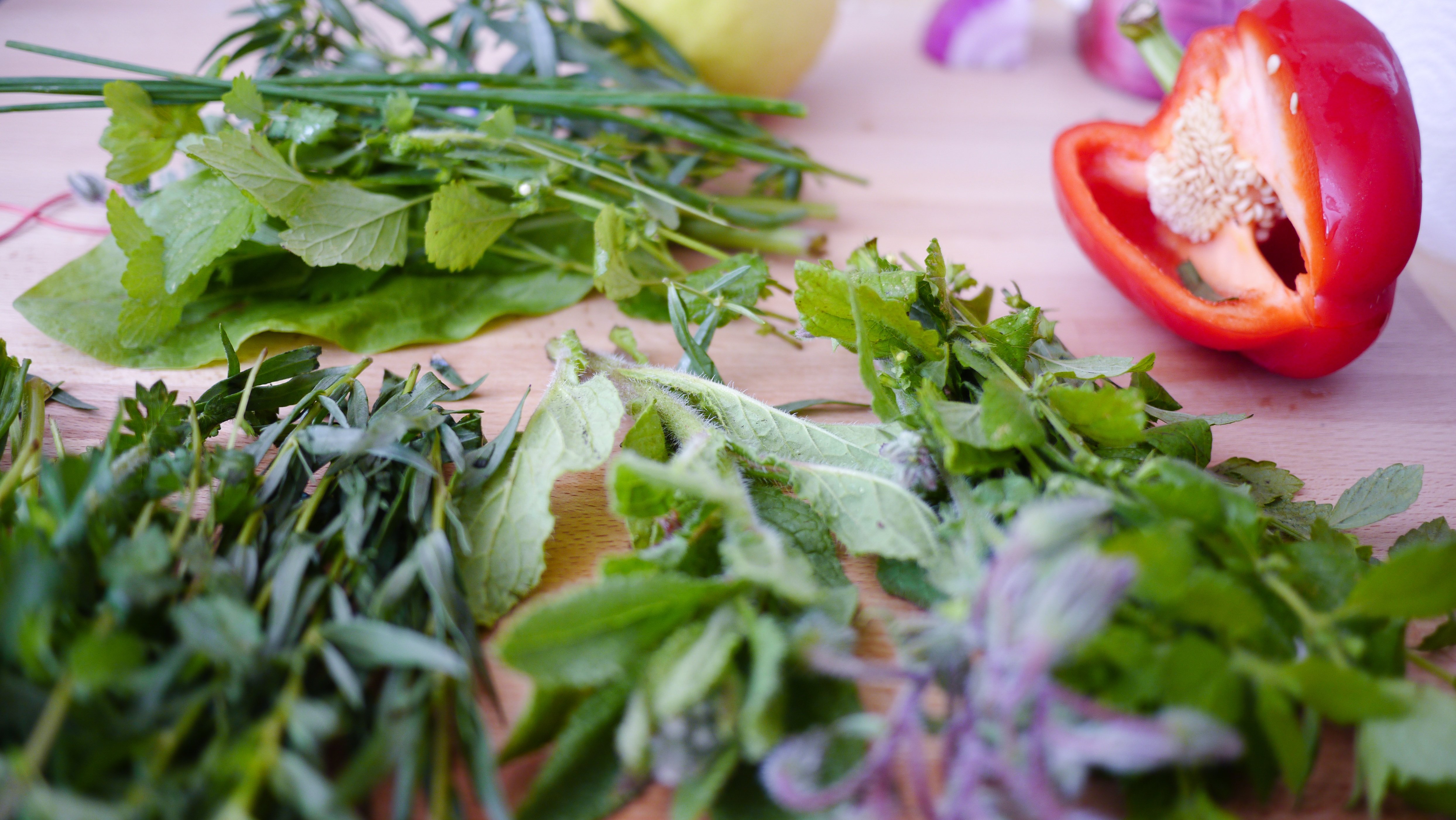 herbs from urban gardening